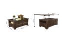 Emily Lift Top Wooden Rectangular Coffee Table with Storage