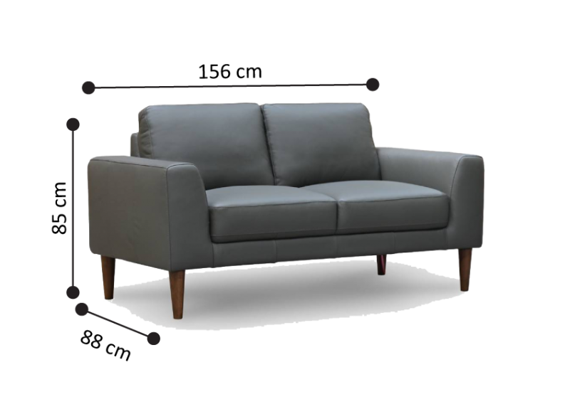 Genuine Leather 2 Seater Contemporary Charcoal Sofa - Newham