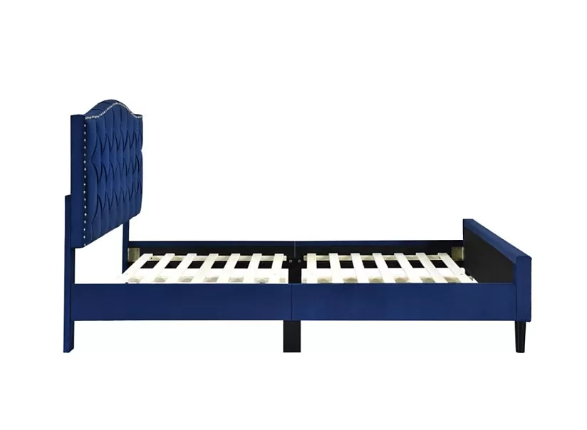 Blue Velvet Fabric Bed with Nail Trims and Tufted Button - Jamison
