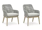 Set of 2 Outdoor Dining Armchair with Seating Cushion and Resin Wicker - Scotia